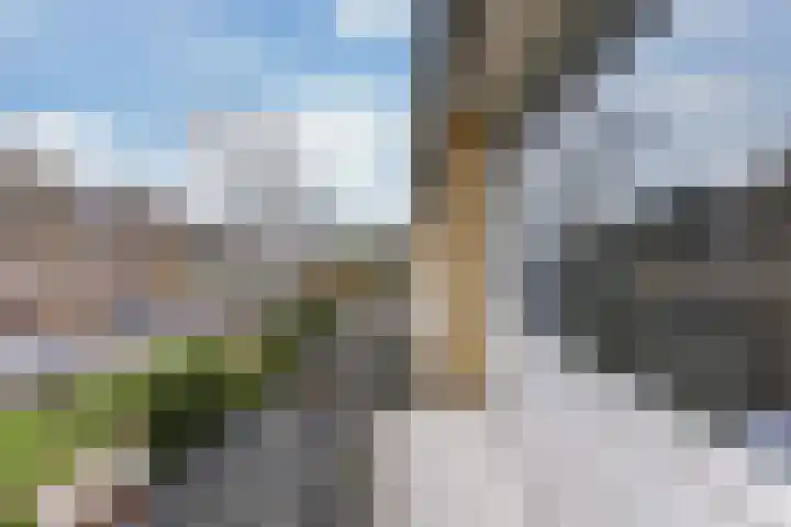 Tjotterlaan 49 Zaandam thumbnail 16