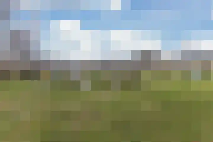 Tjotterlaan 49 Zaandam thumbnail 26