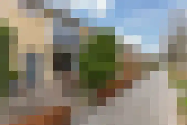 Tjotterlaan 49 Zaandam thumbnail 27