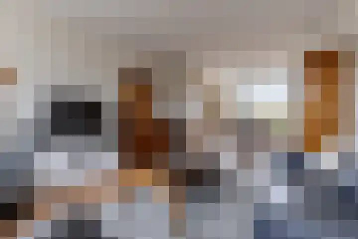 Tjotterlaan 49 Zaandam thumbnail 6