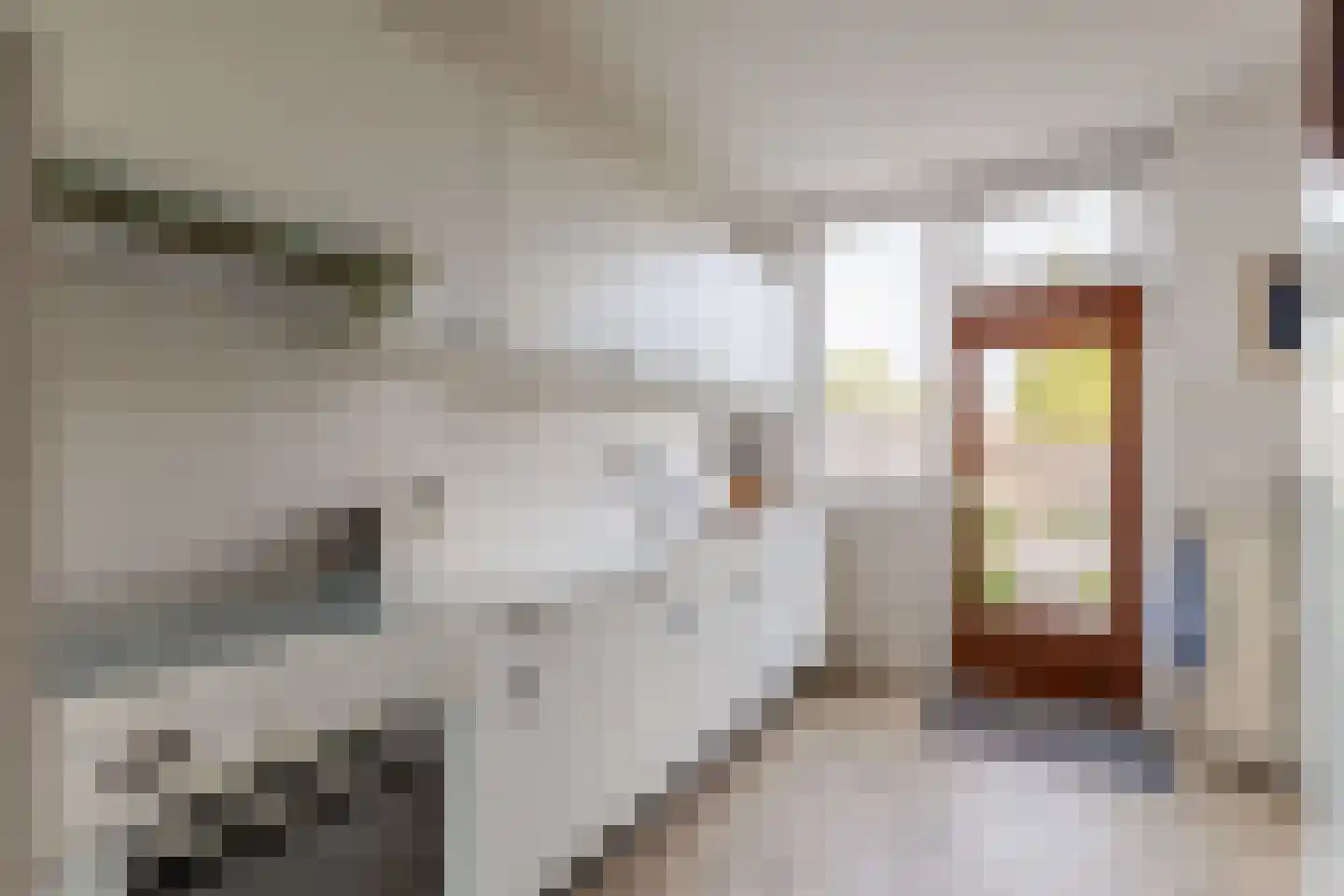 Tjotterlaan 53 Zaandam thumbnail 13