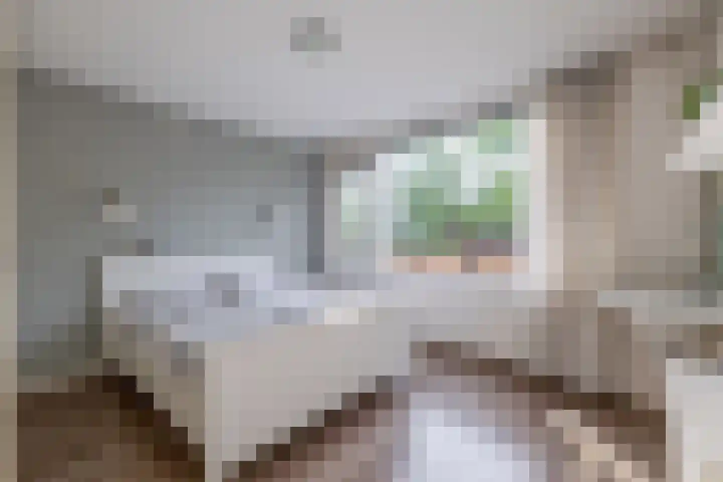 Tjotterlaan 53 Zaandam thumbnail 18