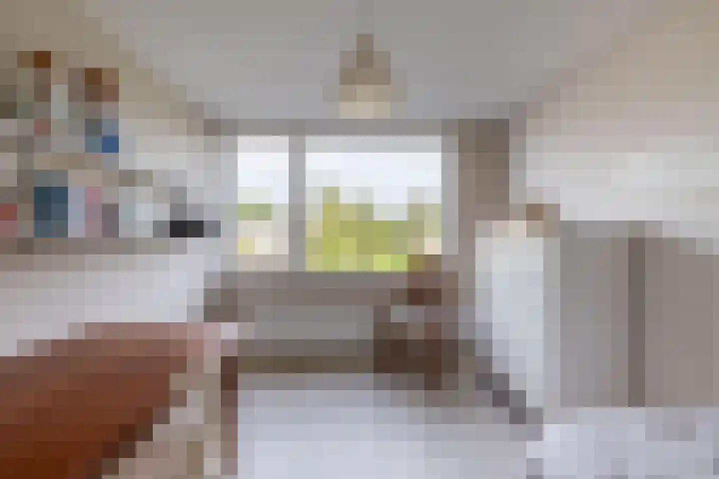Tjotterlaan 53 Zaandam thumbnail 24