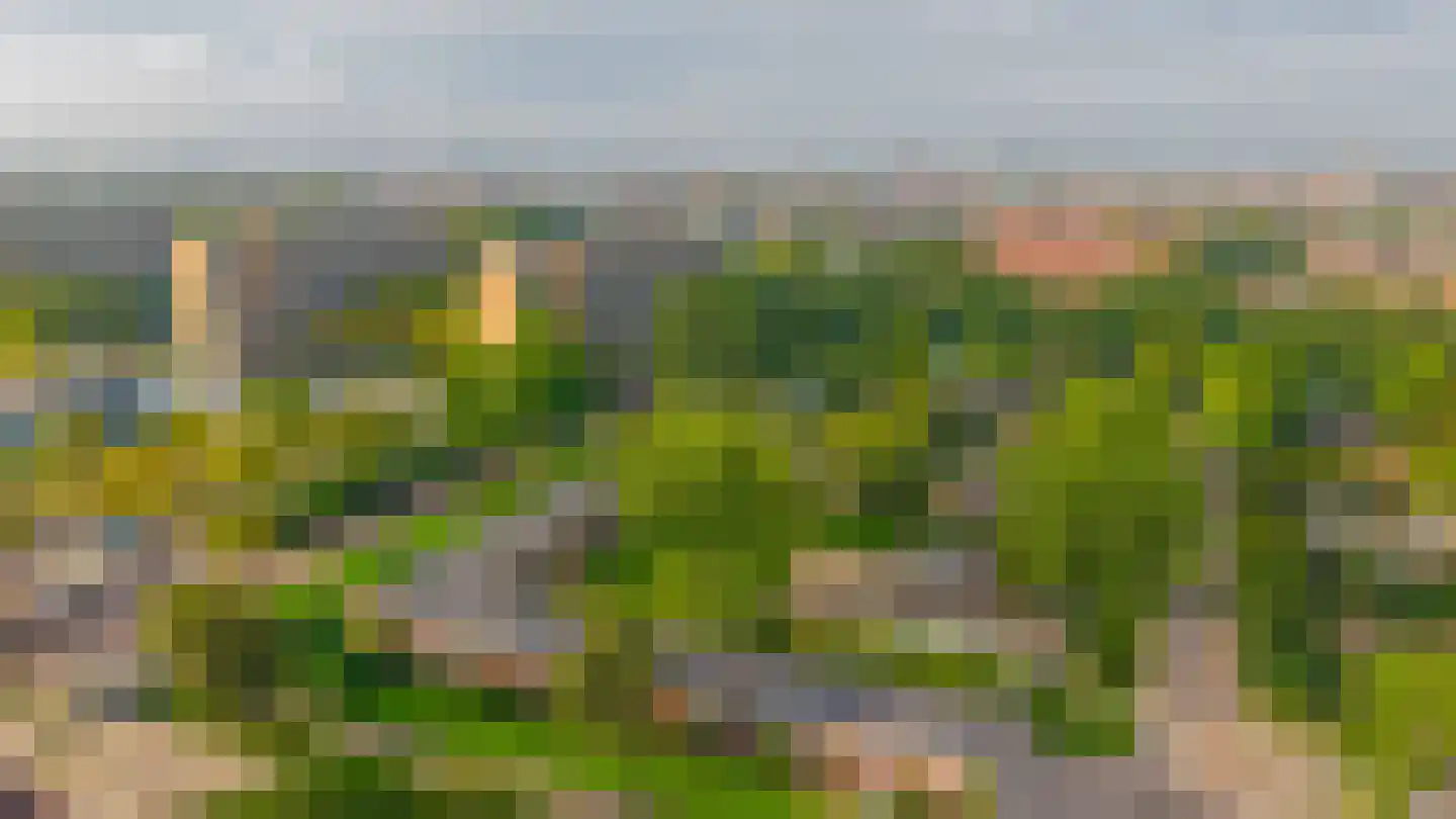 Tjotterlaan 53 Zaandam thumbnail 50