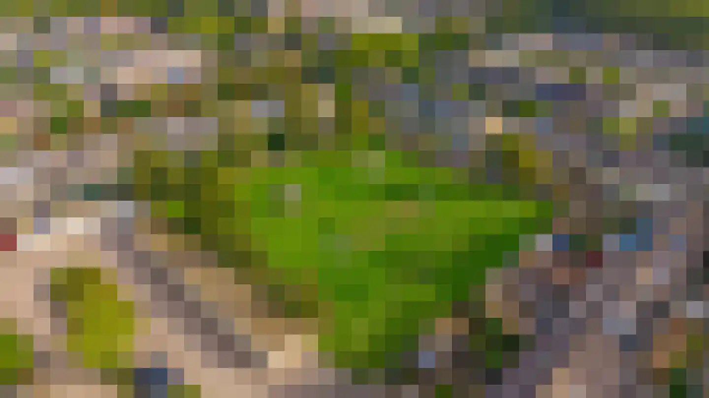 Tjotterlaan 53 Zaandam thumbnail 6
