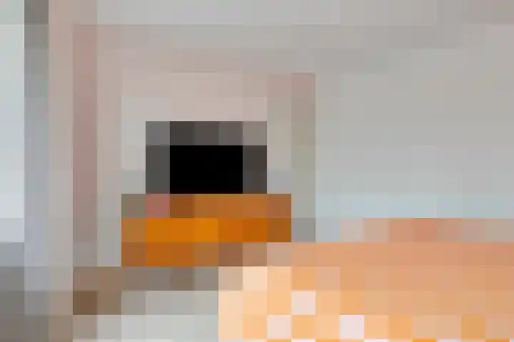 Tjotterlaan 63 Zaandam thumbnail 19