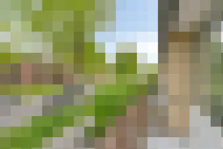 Tjotterlaan 63 Zaandam thumbnail 20
