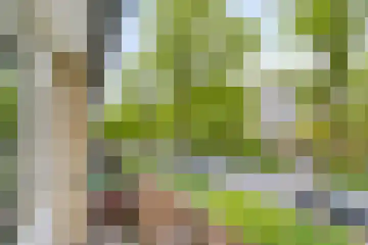 Tjotterlaan 63 Zaandam thumbnail 21