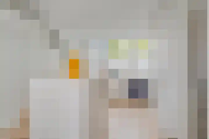 Tjotterlaan 63 Zaandam thumbnail 26
