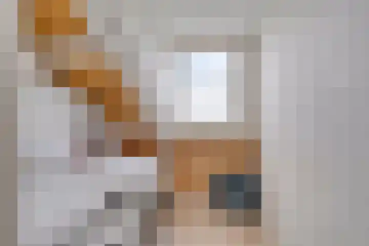 Tjotterlaan 63 Zaandam thumbnail 27