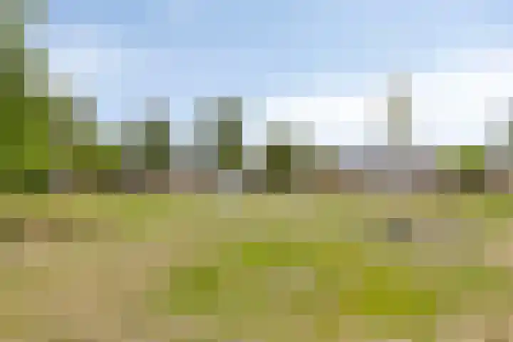 Tjotterlaan 63 Zaandam thumbnail 30
