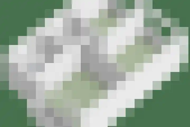 Tjotterlaan 63 Zaandam thumbnail 38