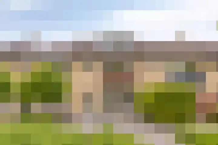Tjotterlaan 63 Zaandam thumbnail 41