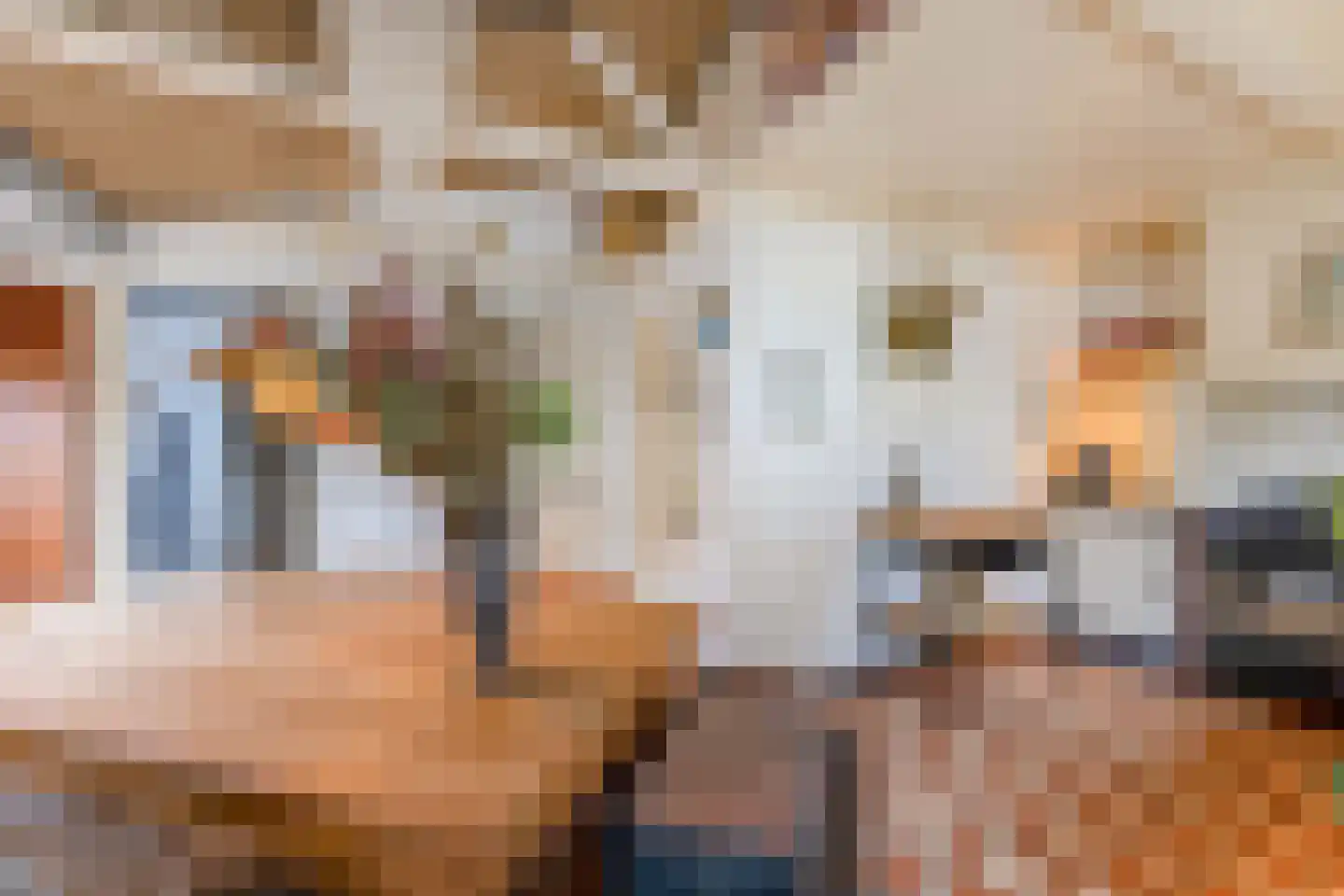 Tjotterspad 13 B Amsterdam thumbnail 10