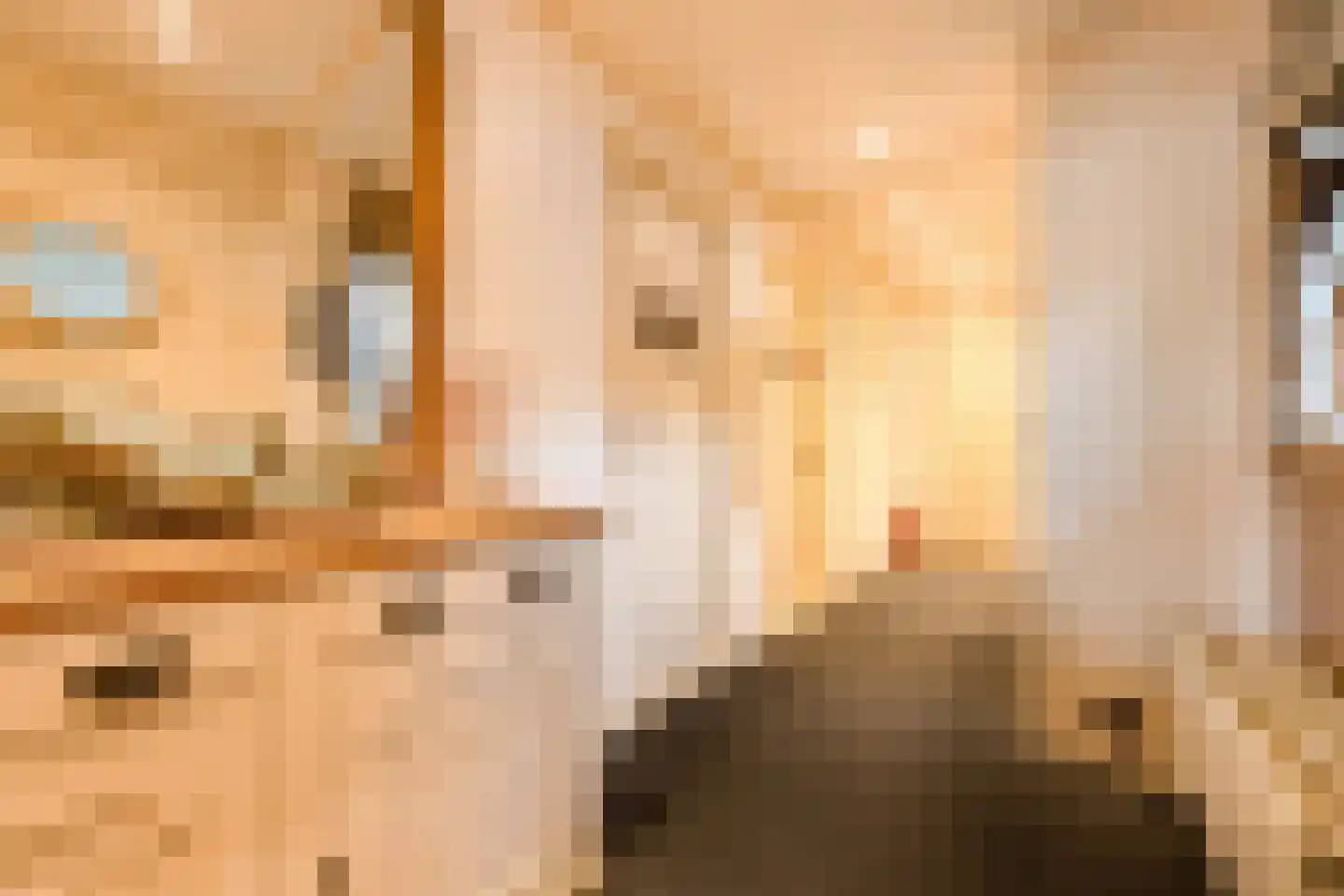 Tjotterspad 13 B Amsterdam thumbnail 22