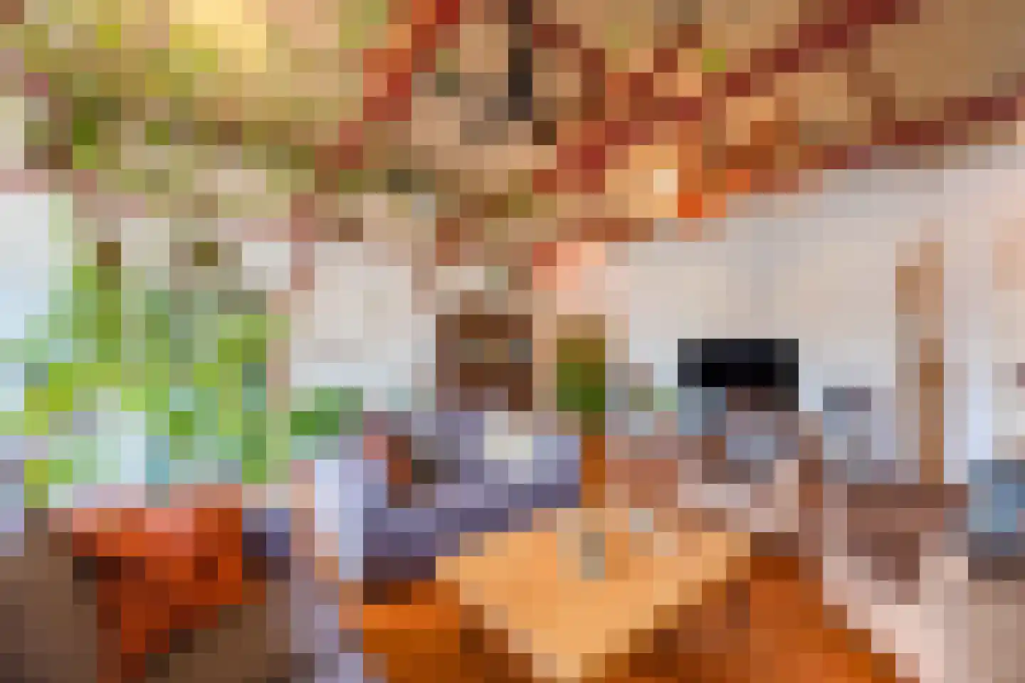 Tjotterspad 13 B Amsterdam thumbnail 26