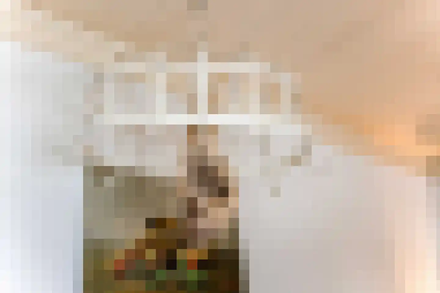 Tjotterspad 13 B Amsterdam thumbnail 30
