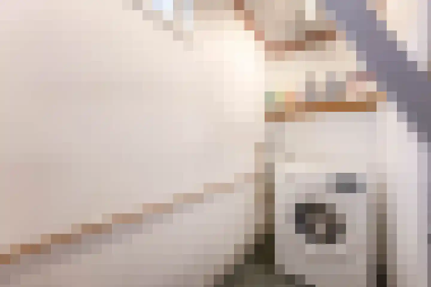 Tjotterspad 13 B Amsterdam thumbnail 34
