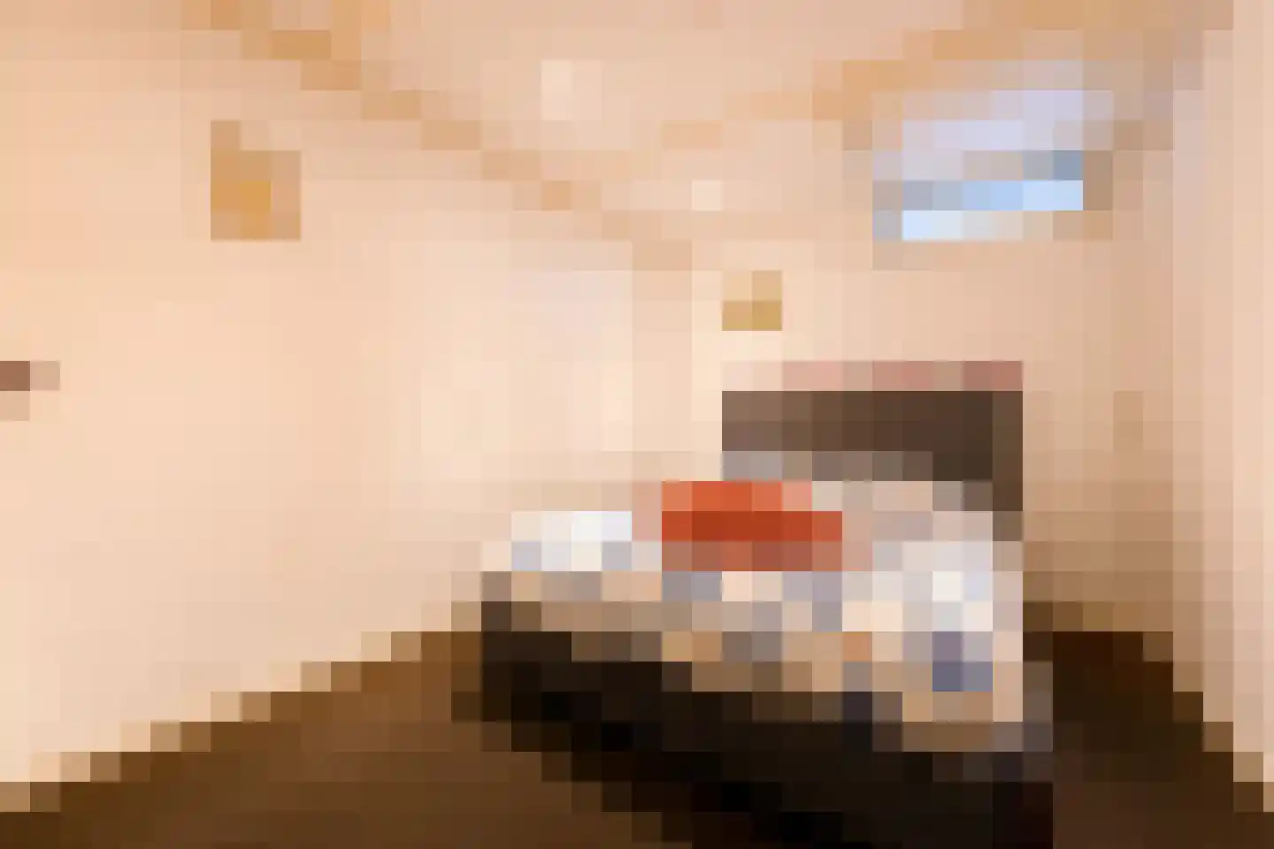 Tjotterspad 13 B Amsterdam thumbnail 38