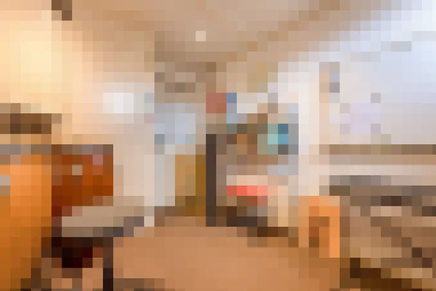 Tjotterspad 13 B Amsterdam thumbnail 43