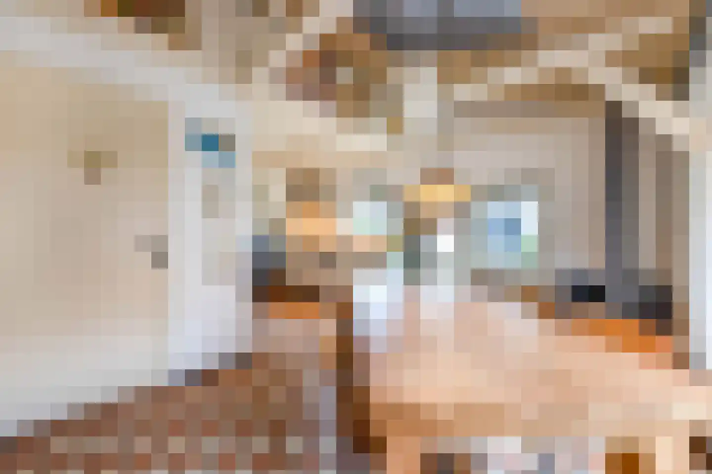 Tjotterspad 13 B Amsterdam thumbnail 8