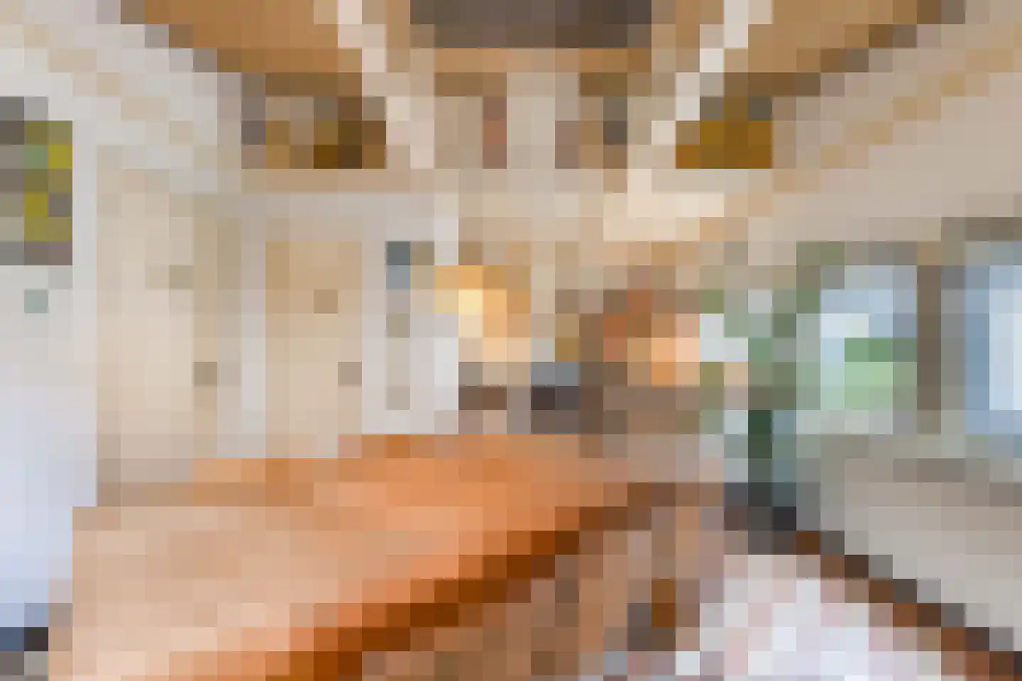 Tjotterspad 13 B Amsterdam thumbnail 9