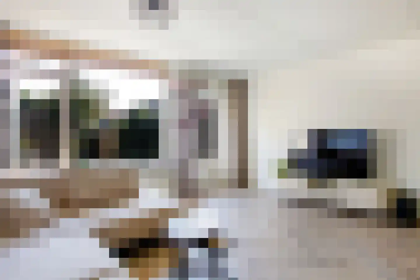 Tjotterwerf 14 Gouda thumbnail 10