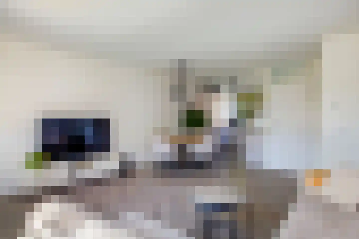 Tjotterwerf 14 Gouda thumbnail 11