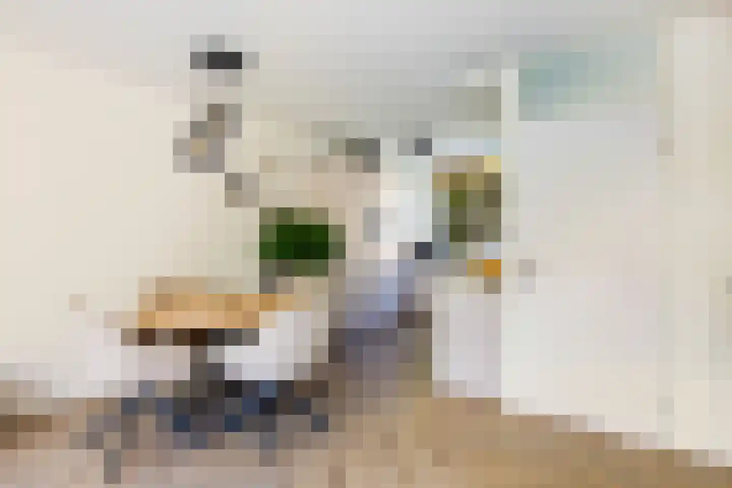 Tjotterwerf 14 Gouda thumbnail 16