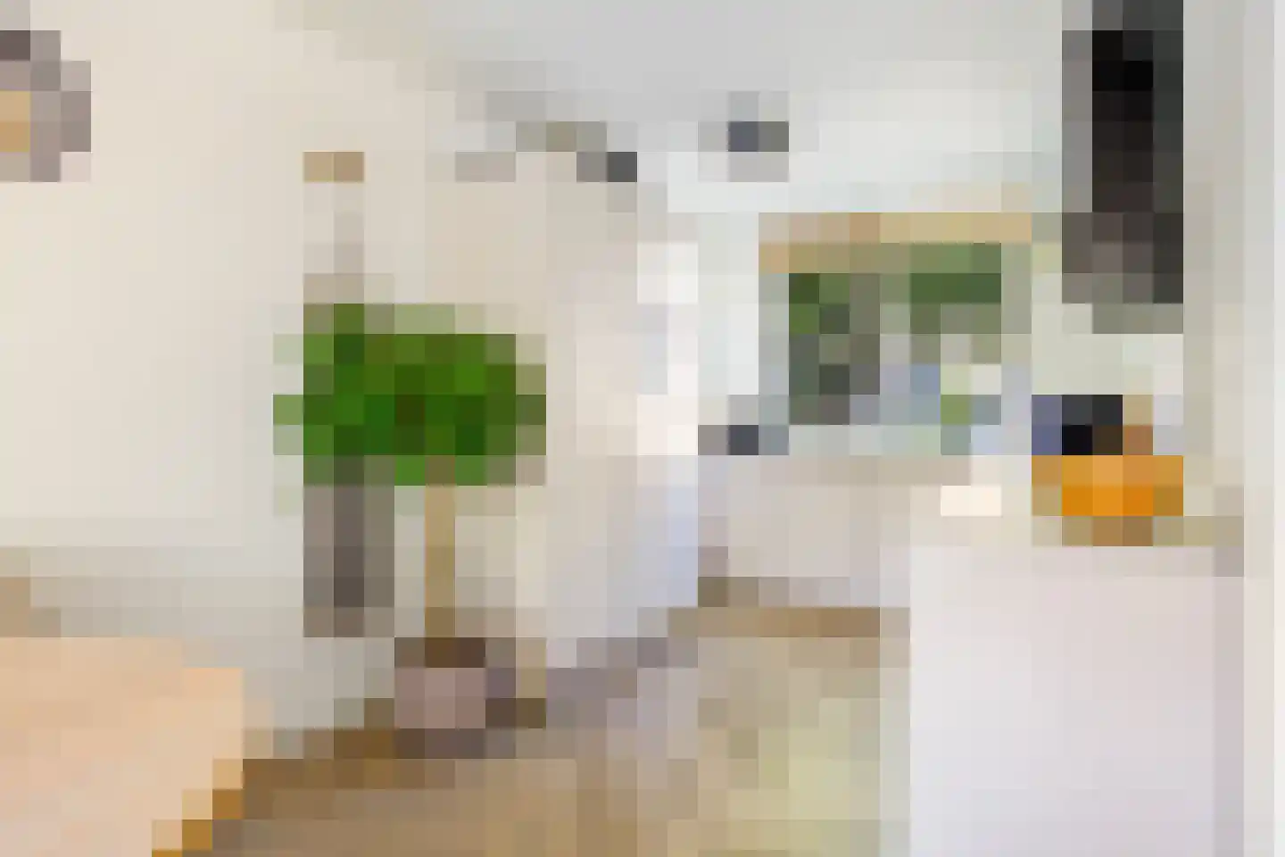 Tjotterwerf 14 Gouda thumbnail 17