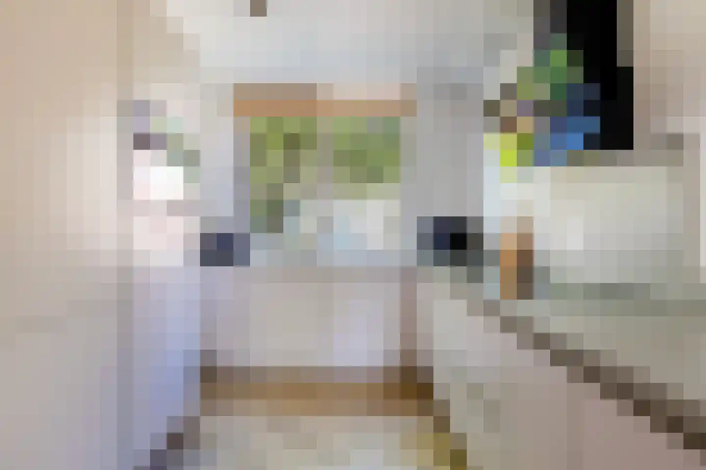 Tjotterwerf 14 Gouda thumbnail 19