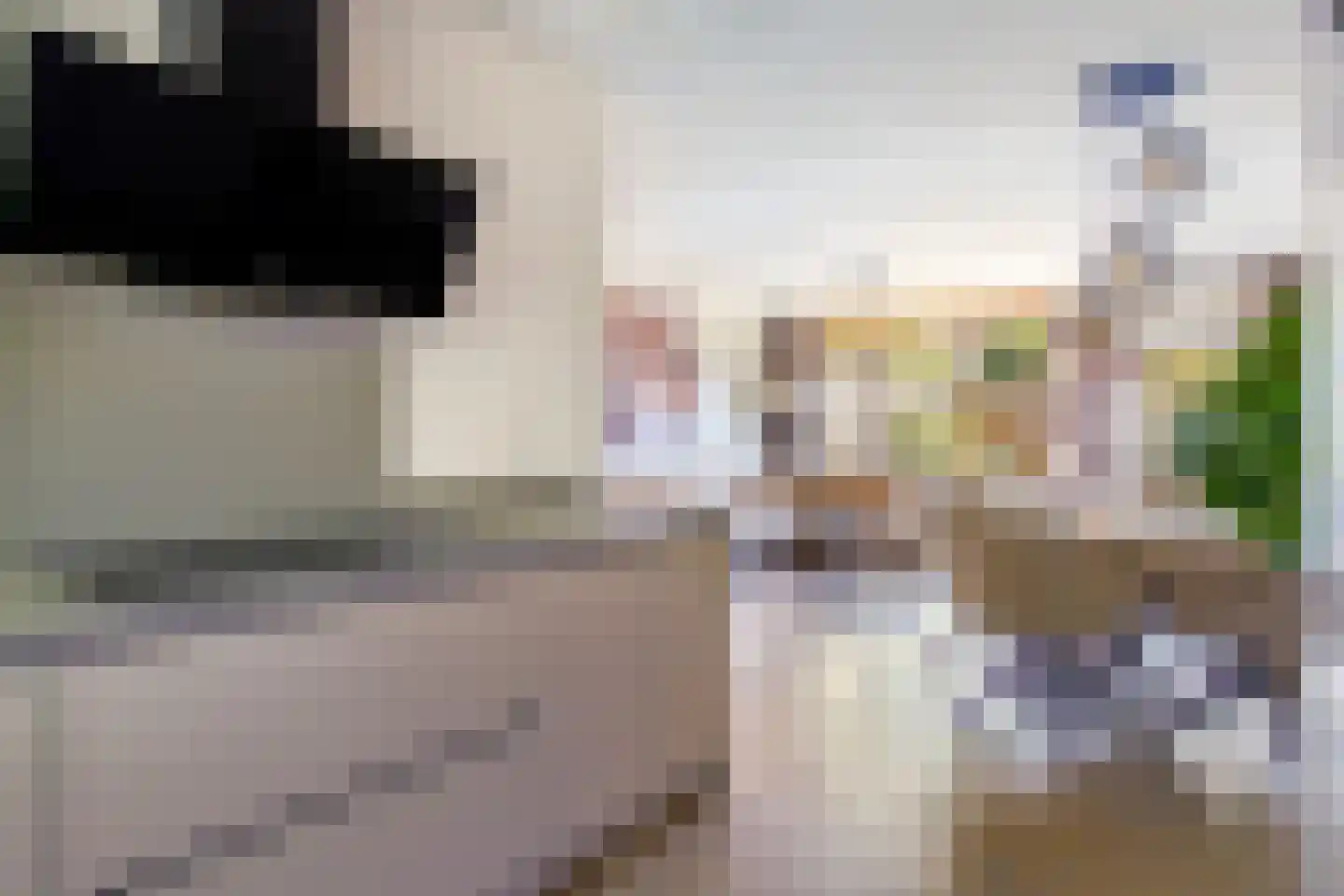 Tjotterwerf 14 Gouda thumbnail 20
