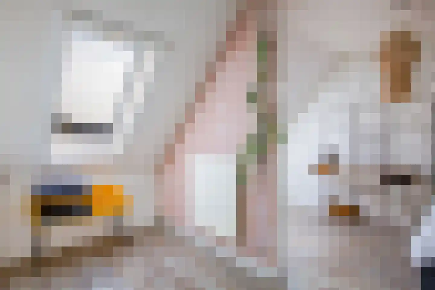 Tjotterwerf 14 Gouda thumbnail 30