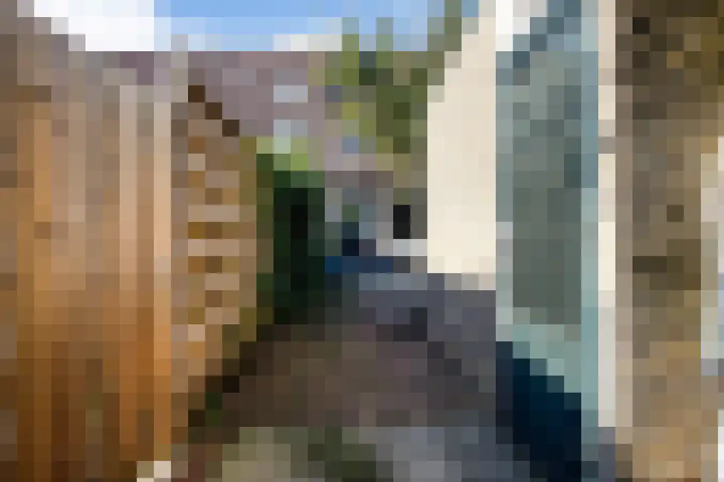 Tjotterwerf 14 Gouda thumbnail 47