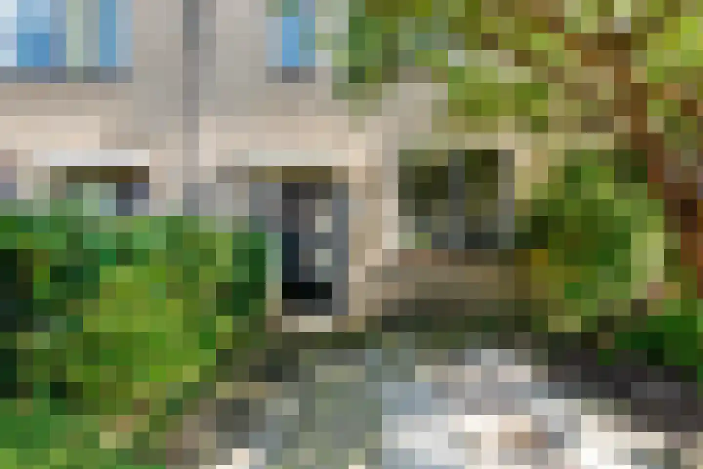 Tjotterwerf 14 Gouda thumbnail 6