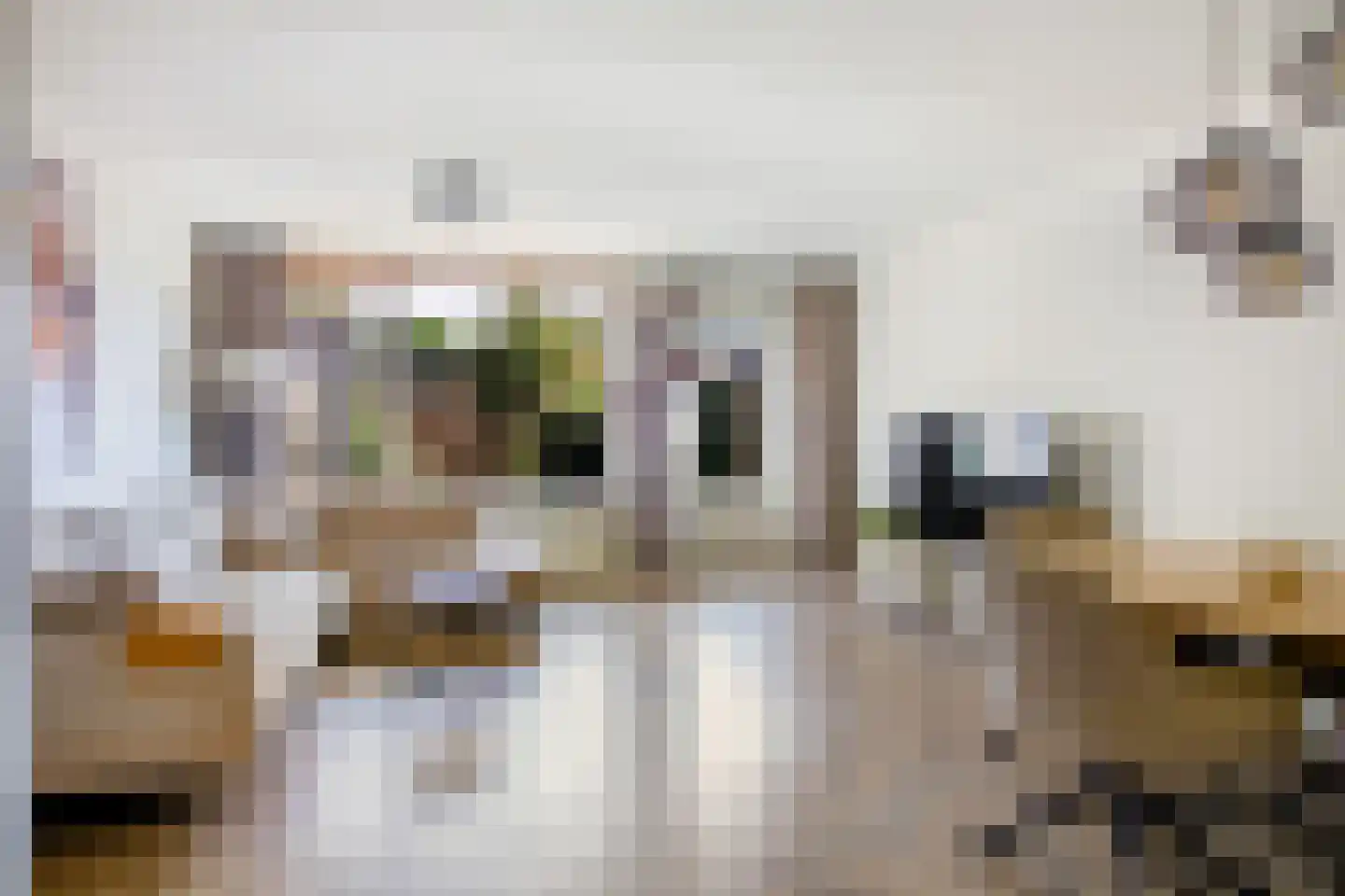 Tjotterwerf 14 Gouda thumbnail 8