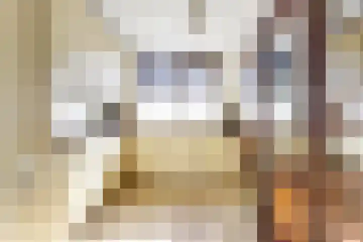 Tjotterwerf 9 Gouda thumbnail 12