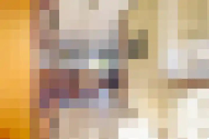 Tjotterwerf 9 Gouda thumbnail 13