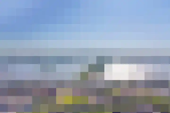 Tjotterwerf 9 Gouda thumbnail 30