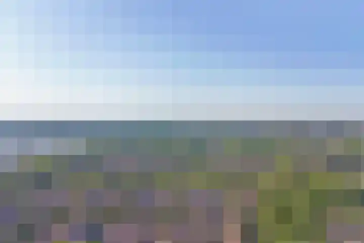 Tjotterwerf 9 Gouda thumbnail 31