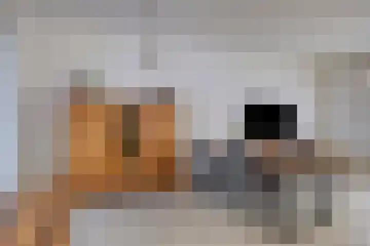 To Janssenstraat 38 's-Hertogenbosch thumbnail 10