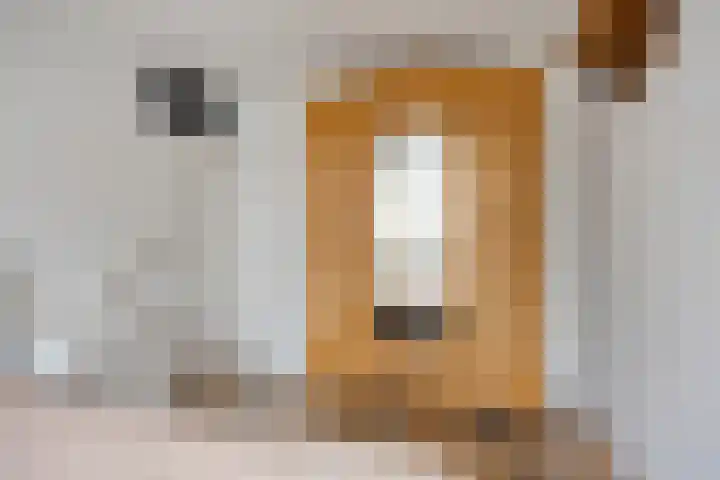 To Janssenstraat 38 's-Hertogenbosch thumbnail 24