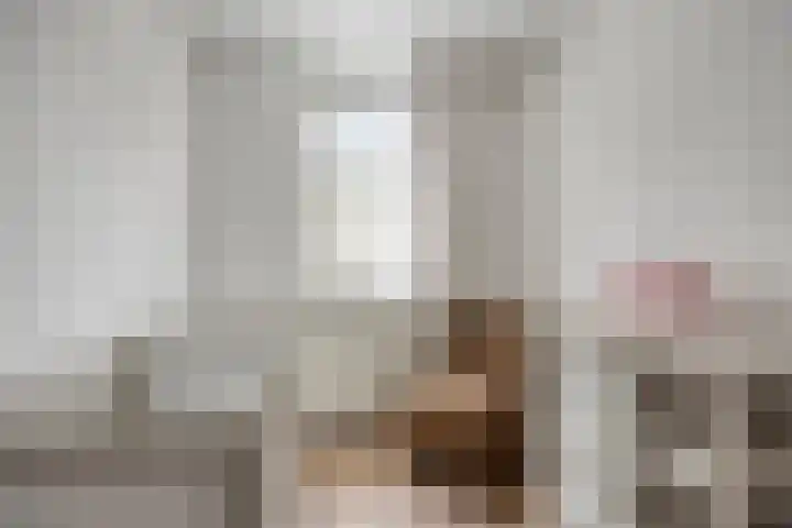 To Janssenstraat 38 's-Hertogenbosch thumbnail 30