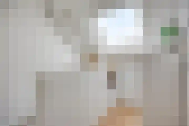 To Janssenstraat 38 's-Hertogenbosch thumbnail 32