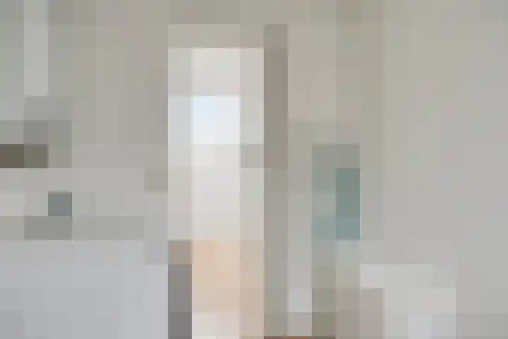 To Janssenstraat 38 's-Hertogenbosch thumbnail 39