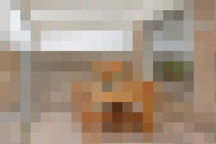 To Janssenstraat 38 's-Hertogenbosch thumbnail 4
