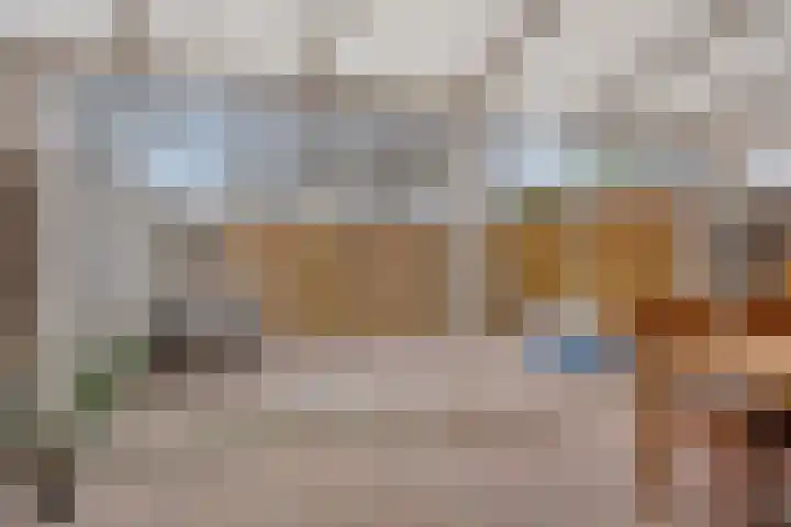 To Janssenstraat 38 's-Hertogenbosch thumbnail 41