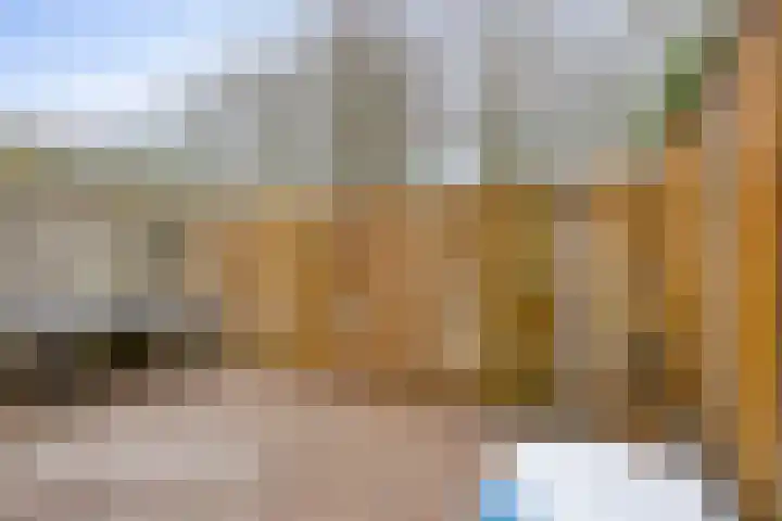 To Janssenstraat 38 's-Hertogenbosch thumbnail 42