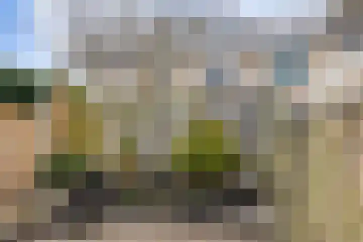 To Janssenstraat 38 's-Hertogenbosch thumbnail 44