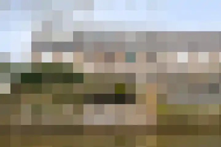 To Janssenstraat 38 's-Hertogenbosch thumbnail 45